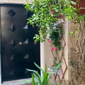 Il Vicoletto Maison d'hôtes Naples